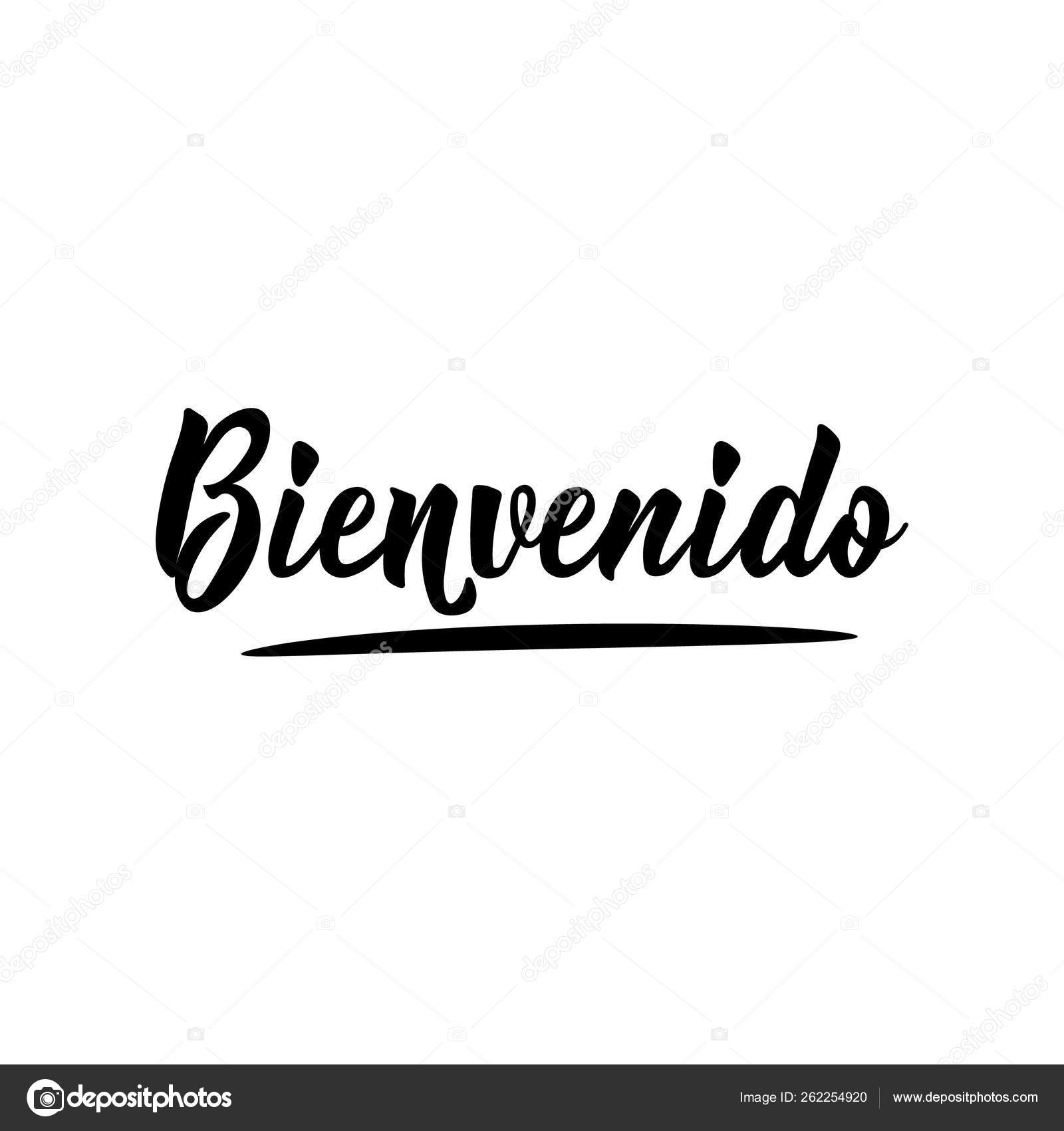 Bienvenido, Welcome Spanish Text Hand Lettering Vector Illustration. Stock  Vector - Illustration of inscription, card: 191660450