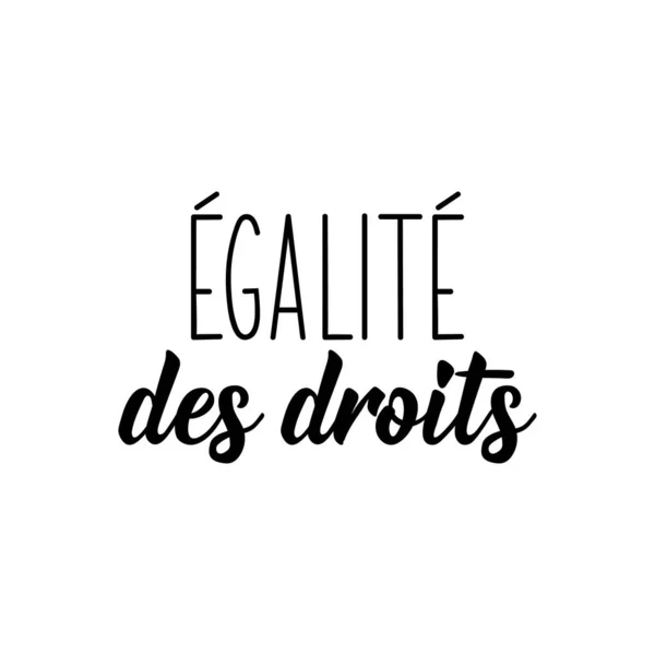 Letras Francesas Traducción Del Francés Igualdad Derechos Elemento Para Volantes — Vector de stock