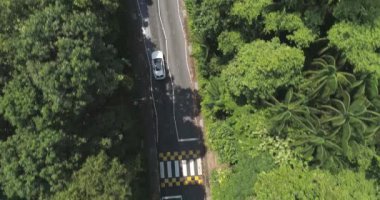 Tropikal yol üst görünümünde araba sürmek