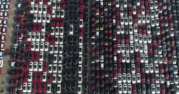 Viele Autos stehen in gepflegten Reihen im Hafen — Stockvideo