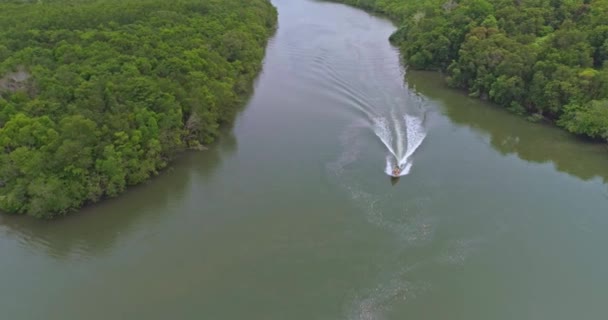 Båten rör sig genom mangrove på floden — Stockvideo