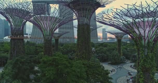 The main view of Singapores famous garden — Stock Video