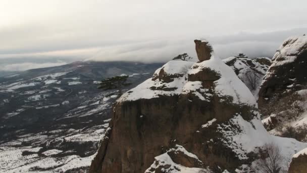 Pine aan de rand van de klif in de bergen in de sneeuw — Stockvideo