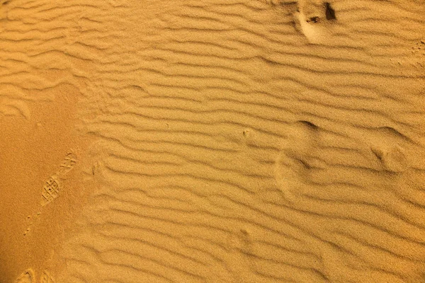 Αποτύπωμα Στην Άμμο Επίπεδη Προβολή — Φωτογραφία Αρχείου