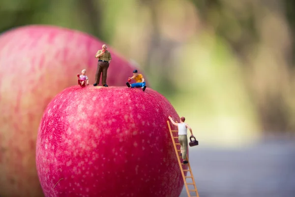 Miniature personnes, agriculteur grimpant sur l'échelle pour collecter r — Photo