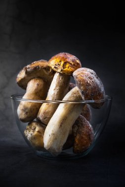 Buz ve buzla kaplı donmuş mantarlı cam bir kase. Donmuş yeşil sebze ürünü. Kış vejetaryen gıda korunumu. Dondurucudan soğuk. Koyu karamsar dikey seçici yumuşak odak