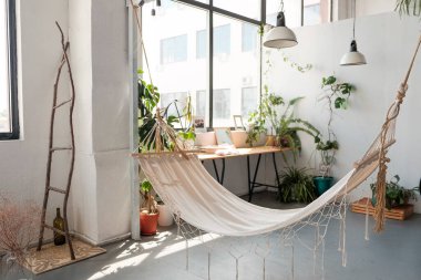 Hamağı ve yeşil bitkileri olan İskandinav tarzı beyaz bir oda. Ahşap organik doğal malzeme iç tasarımı. Minimalist dekoratif rahat stüdyo alanı. Ortak çalışma odasındaki son moda dinlenme yeri