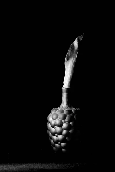 tatil güzel çiçekler Lale çiçek ve iç dekorasyon