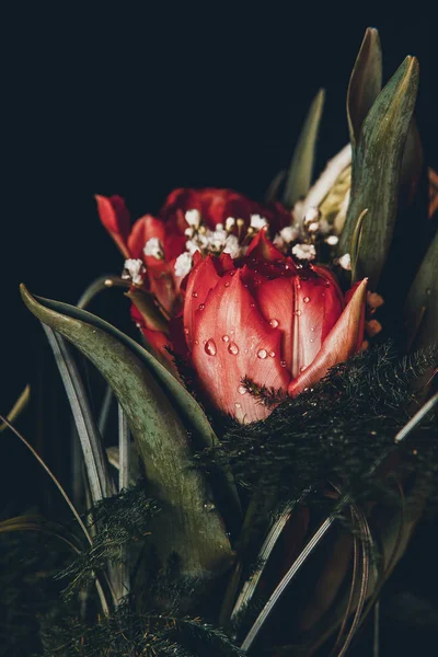 tatil güzel çiçekler Lale çiçek ve iç dekorasyon