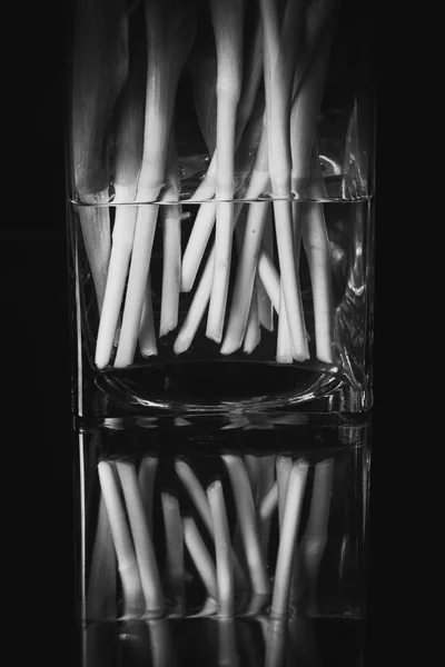 tatil güzel çiçekler Lale çiçek ve iç dekorasyon