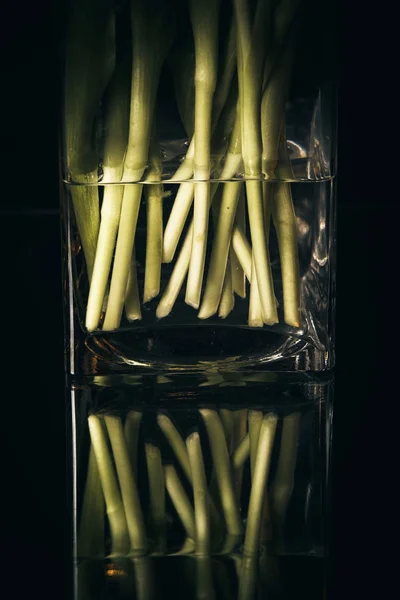 tatil güzel çiçekler Lale çiçek ve iç dekorasyon