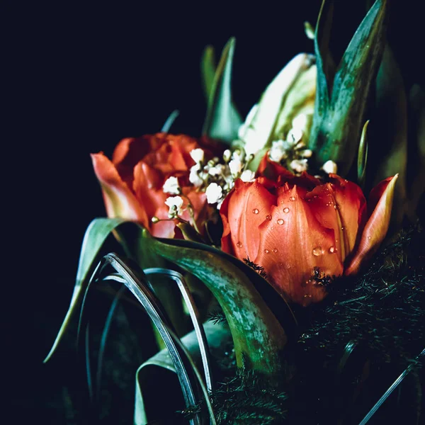 Gyönyörű Virágok Tulipán Nyaralóház Virágok Lakberendezés Jogdíjmentes Stock Fotók