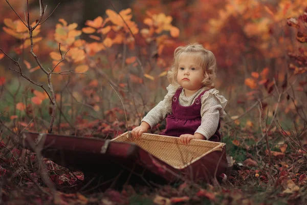 Pequeña chica rubia linda se sienta en el parque de otoño y mira en una vieja maleta —  Fotos de Stock