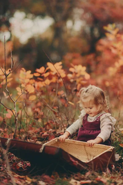 Pequeña chica rubia linda se sienta en el parque de otoño y mira en una vieja maleta —  Fotos de Stock