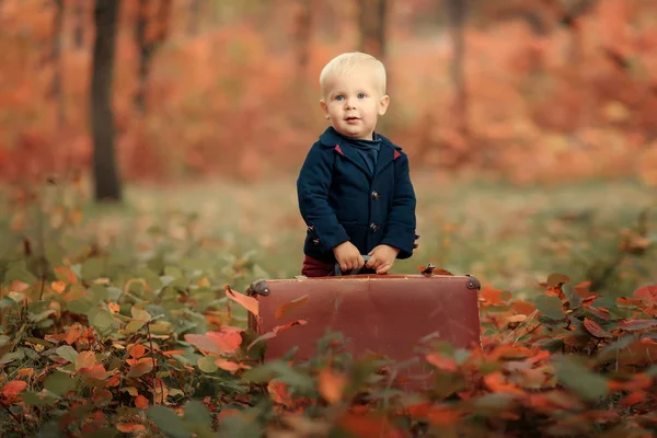 Viajar niño pequeño —  Fotos de Stock