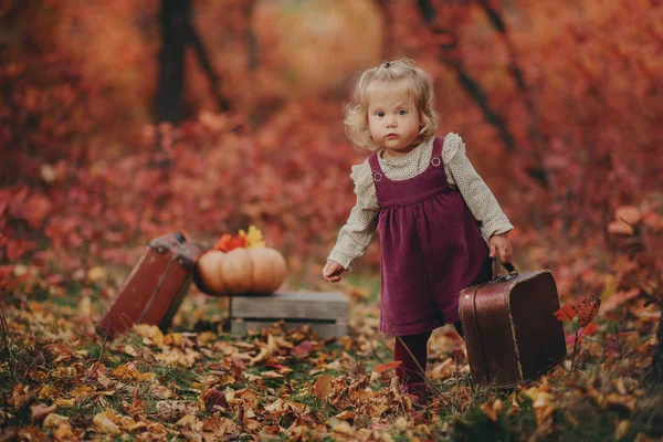 Una niña linda en un sombrero de clarete y el vestido de la antigua maleta en las manos se encuentra expectante en el bosque de otoño sobre un fondo de hojas rojas y árboles —  Fotos de Stock