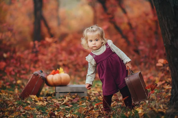 Маленькая симпатичная девочка в шляпе из кларета и платье из старинного чемодана в руках стоит в ожидании осеннего леса на заднем плане красные листья и деревья — стоковое фото