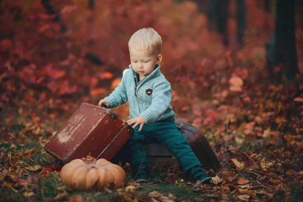 Rozkošný chlapec, čekání na vlak s kufrem — Stock fotografie