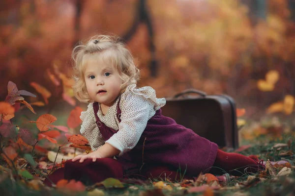 Retrato de una linda niña rubia con el pelo ondulado en un parque de otoño —  Fotos de Stock