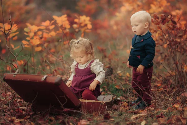Двое Милых Детишек Осеннем Парке Смотрят Ретро Чемодан — стоковое фото
