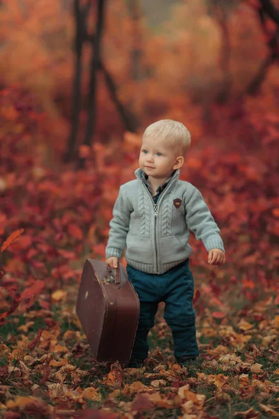 Adorable niño en una estación de tren, esperando el tren con maleta —  Fotos de Stock