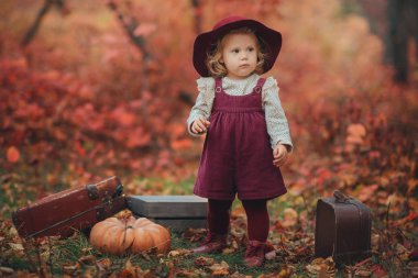 bir küçük şirin kız bir Bordo şapka ve elbise eski bavul elinde kırmızı bir arka plan üzerinde orman bırakır ve ağaçlar sonbahar bekleyen standları