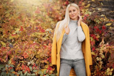 Sonbahar güneşli mutlu bir genç kadının portresi. Açık hava yaşam tarzı fotoğraf. Sarı uzun saçlı. Sıcak sonbahar. Güzel sonbahar günü.
