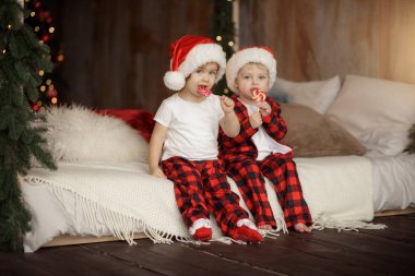 İki küçük sevimli çocuklar Santa Claus şapka ve kırmızı pijama Noel ağacı arka odada oturan ve bir sopa üzerinde tatlı şeker yemek