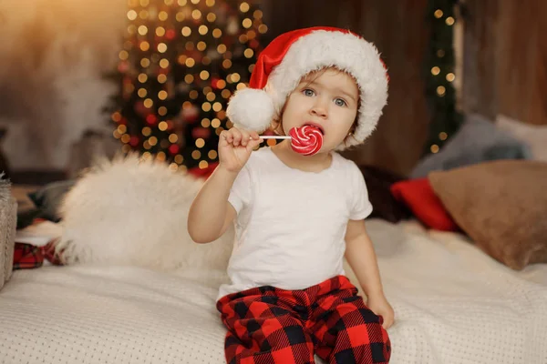 戴着圣诞老人帽子的可爱的小女孩正坐在房间里的圣诞树的背景上 在一根棍子上吃着甜糖果 — 图库照片
