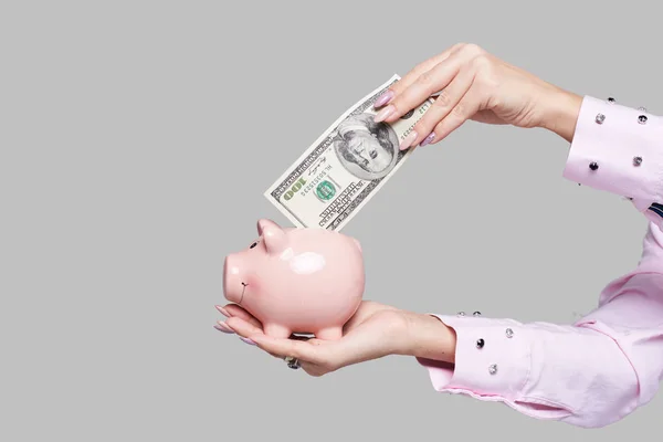 Cost of college education. Female student hand  puts cash in the piggy bank. The girl saves money for training in high school .Neutral grey background. Space for text