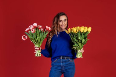 Cheerful young lady in blue clothes, holding and smelling bouquet of colorful tulips on women's day or birthday isolated over red background.  clipart