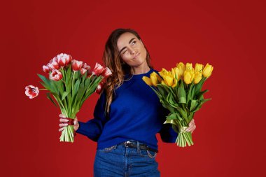 Cheerful young lady in blue clothes, holding and smelling bouquet of colorful tulips on women's day or birthday isolated over red background. clipart