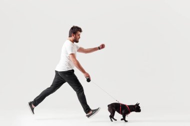 Köpekli adam. Beyaz arka plan üzerinde izole bir Fransız bulldog köpek ile yürüyen ve çalışan genç bir adamın tam uzunlukta portre