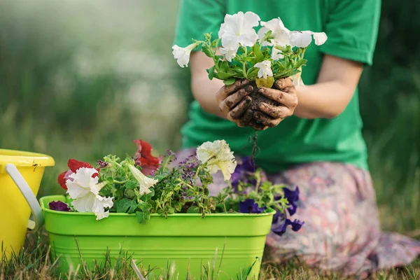 Woman hands planting a seed during sunny day in backyard garden - Girl gardening at sunset in summer time - Nature care and lifestyle concept