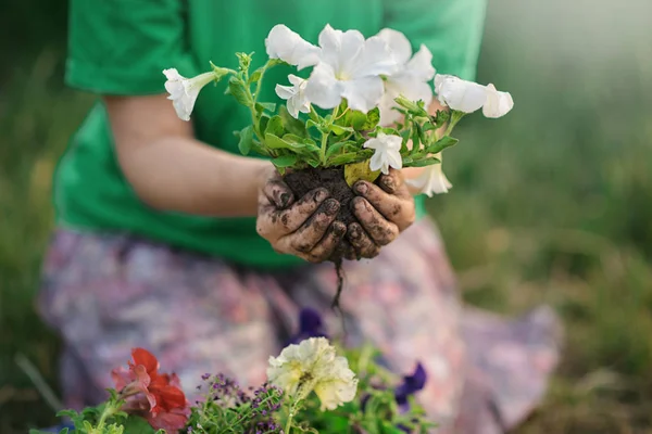 Woman hands planting a seed during sunny day in backyard garden - Girl gardening at sunset in summer time - Nature care and lifestyle concept