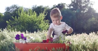 mutlu küçük çocuk çim arasında oturur ve saksı ile oynar