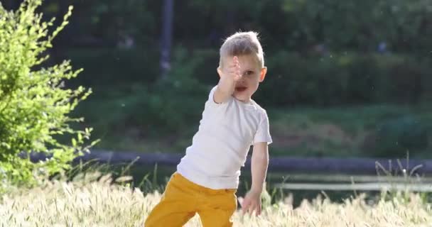 Щасливий маленький блондинка хлопчик танцює серед трави мама з'являється — стокове відео