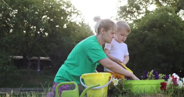 Matka se synem sedí na trávě a nalévá půdu ve velkém hrnci — Stock video