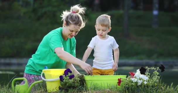 Niño sostiene la pala y ayuda a la madre a plantar flores — Vídeos de Stock