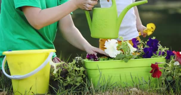 Lady och liten pojke växt blommor i grön plastkruka — Stockvideo