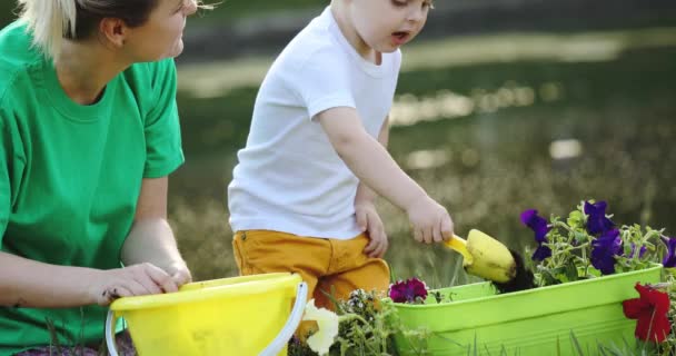 Pequeño niño besa madre y ayuda a la mujer con la plantación — Vídeo de stock