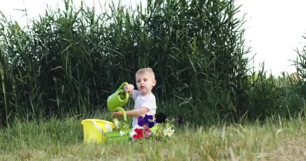 Νήπιο αγόρι κάθεται μεταξύ γρασίδι και νερά πολύχρωμα λουλούδια — Αρχείο Βίντεο