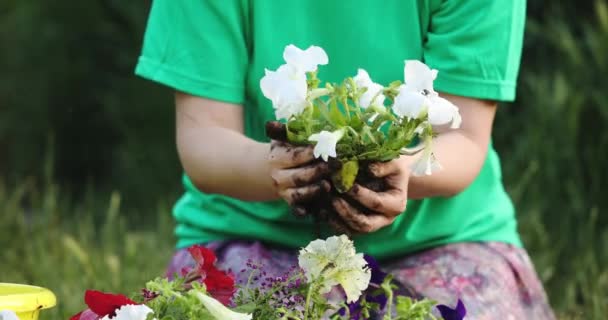 Las manos de la señora sostienen flores y planta en maceta verde plástico — Vídeos de Stock