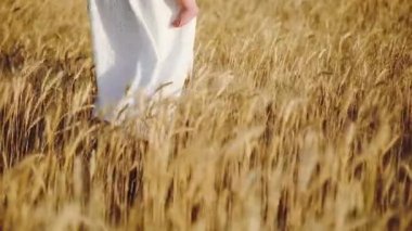 rüzgar tarafından sallanan uzun beyaz elbiseli bayan buğday alanı yakın düşük açı çekim yavaş hareket boyunca yürüyen kollarında yürümeye başlayan tutar