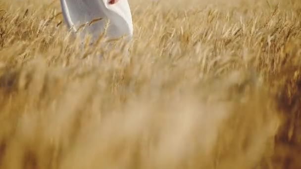 Kollarında Yürümeye Başlayan Çocuk Ile Uzun Beyaz Yumuşak Elbise Saman — Stok video