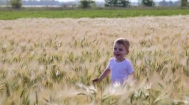 beyaz t-shirt küçük çocuk güneşli bir günde ağaçlar ile yeşil çayır karşı sarı buğday tarlası boyunca çalışır