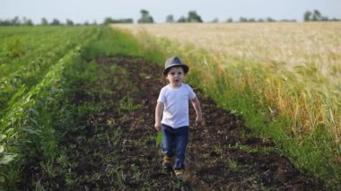 gülümseyen aktif çocuk açık mavi gökyüzü yavaş hareket altında elinde yaprak tutan yeşil ve sarı alanlar arasında çalışır