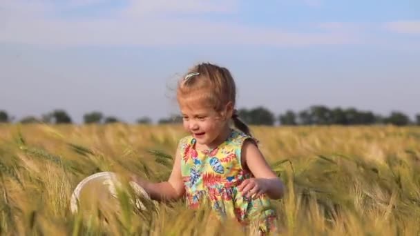 小さな女の子は黄色の熟した小麦畑の母は夏の裏側の景色で緑の木に対して子供たちと一緒に歩きます — ストック動画