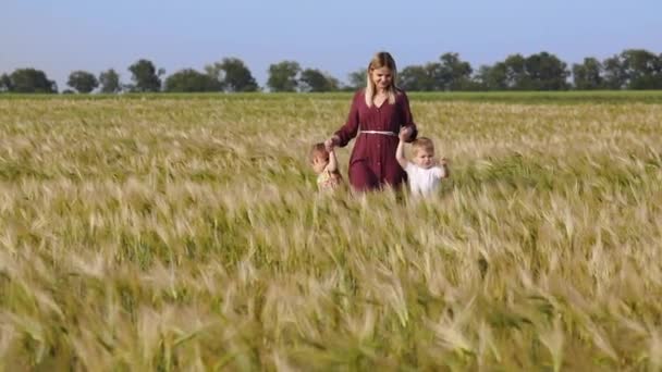 長い髪の女性は 青空の下で広大な黄色の熟した小麦畑に沿って歩く小さな幼児の子供の手を保持します — ストック動画
