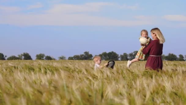 エキサイティングなアクティブな家族のお母さん幼児の娘の息子は晴れた夏の日に緑の木に対して黄色の小麦畑で遊びます — ストック動画